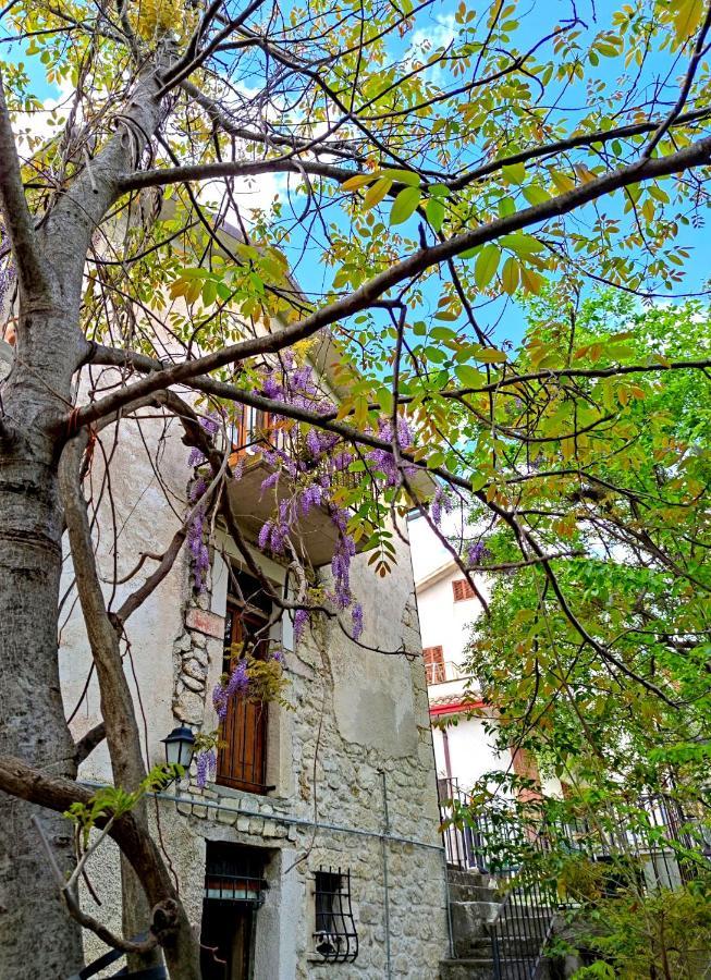 בית הארחה Palombaro 	Ai Limiti • 67 • StoneHouse מראה חיצוני תמונה