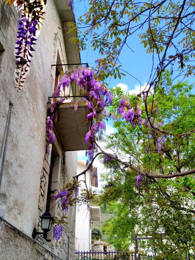 בית הארחה Palombaro 	Ai Limiti • 67 • StoneHouse מראה חיצוני תמונה